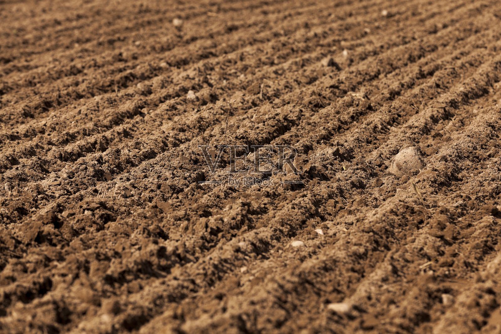 耕地用于种植谷物照片摄影